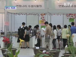 알록달록 컬러풀 '대구 꽃 잔치' [캠퍼스 리포트]