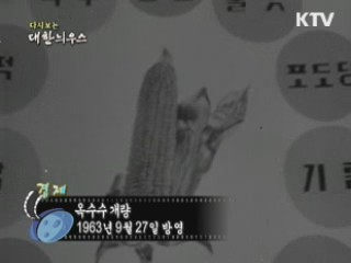다시보는 대한늬우스 (63.09.27) 이미지