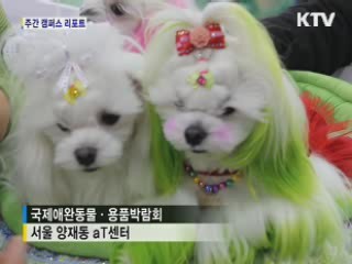 1천만 애견인의 축제' 국제애완동물박람회