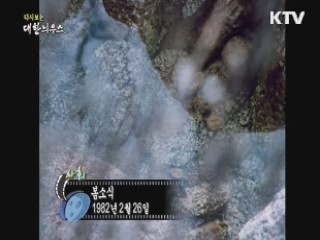 다시보는 대한늬우스 (82.02.26) 이미지