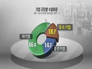 "2017년 글로벌 강소기업 3천개 육성"