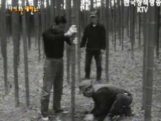 밝아오는 새농촌(`67) 이미지