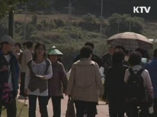 영주시 "외나무다리서 만나요"