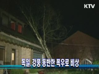 굿모닝 지구촌