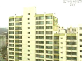 `반값 아파트 등 내년 1월까지 결론`