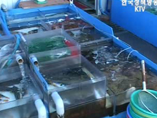 문화의 창