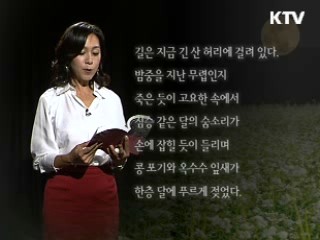 달빛 그리움, 이효석 <메밀꽃 필 무렵>