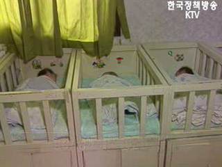 국내 입양 활성화 종합대책