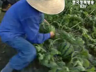 ‘특구사업’ 이해부족