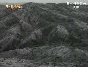 산림녹화(`68) 이미지