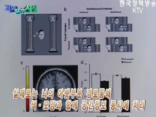 뇌의 시공간 처리 기제 규명