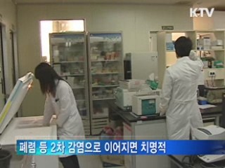 독감 유행주의보 발령···의심환자 급증