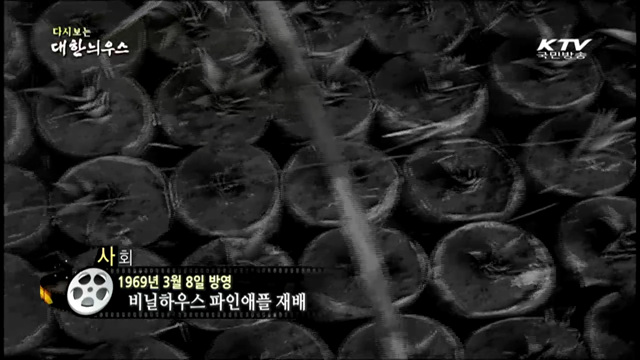 다시보는 대한늬우스 (69.03.08) 이미지