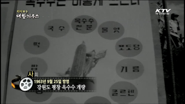 다시보는 대한늬우스 (63.09.25) 이미지