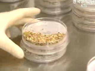 농산물 10종, 중금속 허용기준 신설