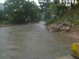 재난안전대책본부 종합