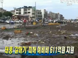 태풍 '갈매기' 피해 예비비 611억원 지원