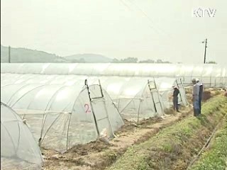 "4대강 농경지, 국유지내 점용 적법 보상"