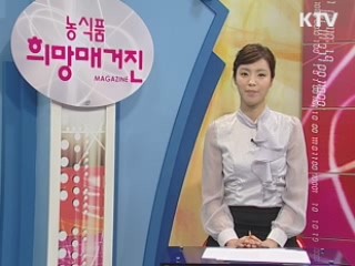 식생활교육 기본계획