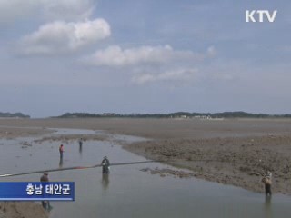 제철 만난 망둥어 낚시