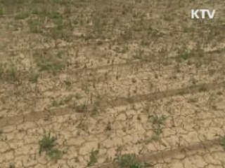 남부지방 가뭄…'제주가 타들어간다'