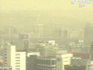 황사경보 시 임시휴교