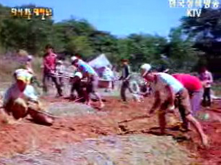풍년 스케치(`77) 이미지
