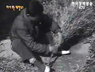 농가 부업을 장려(`63) 이미지