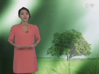 국립수목원 '동충하초와 함께하는 곤충의 세계 전시회' 개최