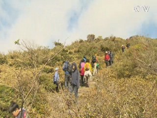 "국민 86.6%, 국내로 휴가 계획"