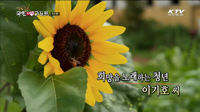 방방곡곡 국민 행복 리포트+ (10회)
