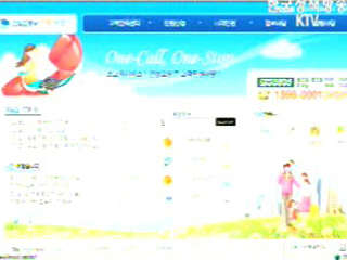 인터넷 민원처리 시스템 운영