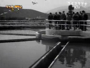 부산 상수도공사 준공(`70) 이미지