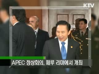 APEC, 아시아태평양경제협력체제 정상회의 의의