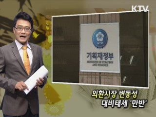 외환시장 변동성 대비태세 '만반'