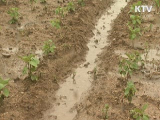 경남 호우특보···앞으로도 60mm 더 내려