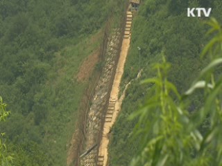 DMZ 60년 재조명…두루미 '깃대종' 선정