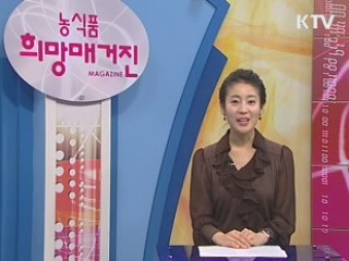 김장철 채소류 수급 안정 대책