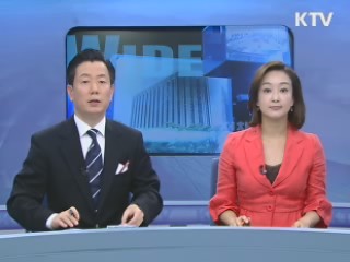 정책 와이드 (240회)