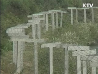 중국 "탈북자  좀 더 조사"…정부 "강제 북송 반대"