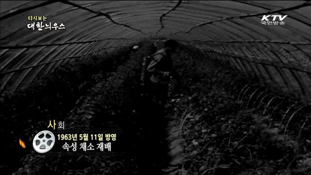 다시보는 대한늬우스 (63.05.11) 이미지