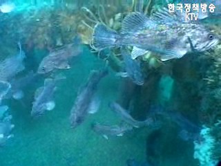 기획취재