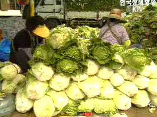 기상청 `김장 적기에 김치 담그세요`