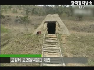플러스 덤