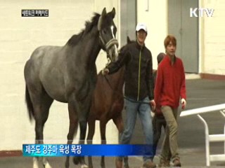 허가 없이 '불법 농사'