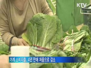 경기 부진에 금융위기 후 가계소비 첫 감소