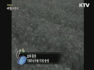 다시보는 대한늬우스 (65.06.15) 이미지