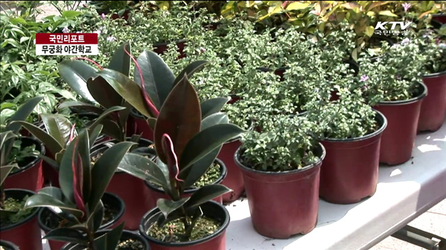 서울광장서 꽃·나무 등 봄을 사가세요 [국민리포트]