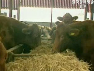 농림부, 美 광우병 평가 의견 OIE 제출