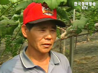 배우는 농민들 “개방의 시대, 경쟁력으로 이긴다”